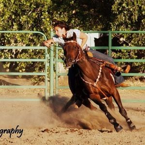 Meet your Posher, Devon